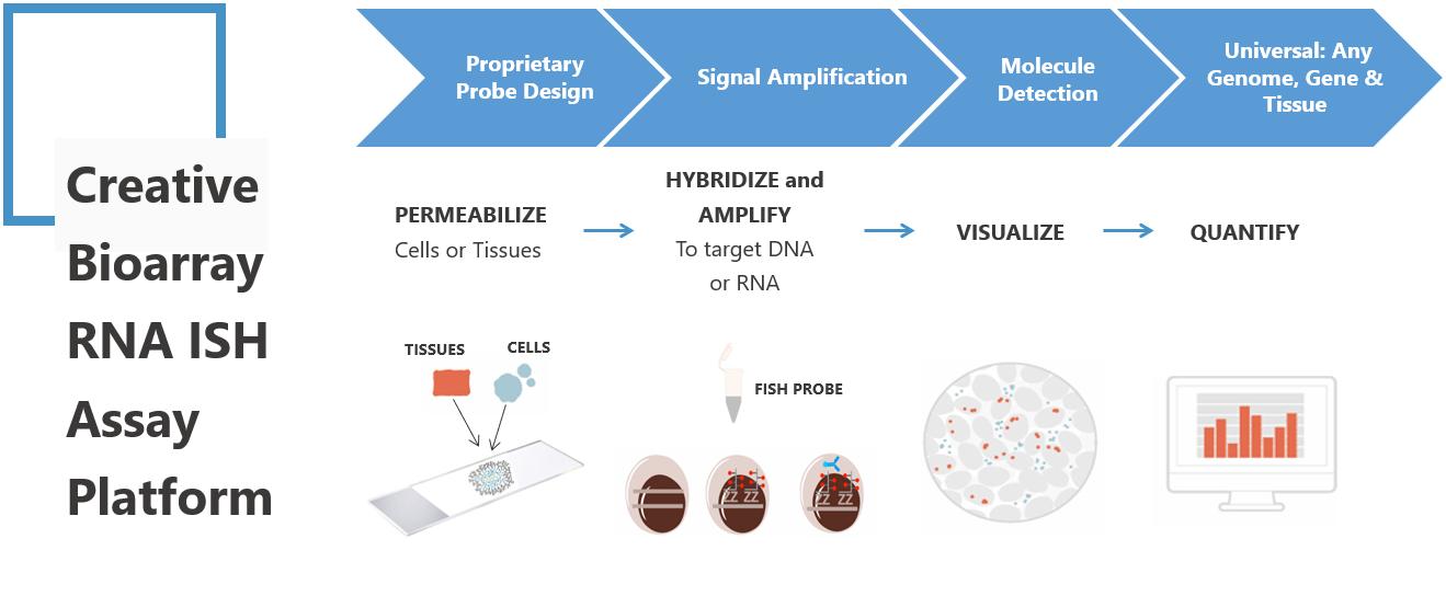 AAV-VTB-RNA-Biodistribution-Analysis-2.jpg