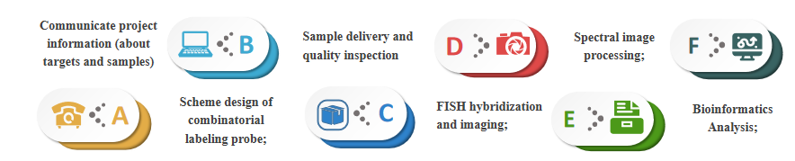 FISH assay based on multi-labeled probes produced by combinatorial labeling method. - Creative Bioarray