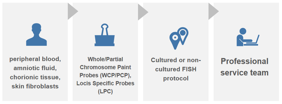 Essentials of FISH analysis of easily accessible human samples. - Creative Bioarray