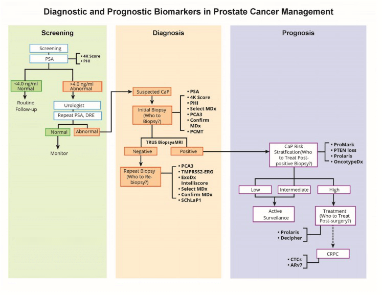 Role of biomarkers in prostate cancer management.