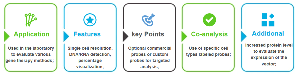 The main points of AAV carrier in-situ analysis service.