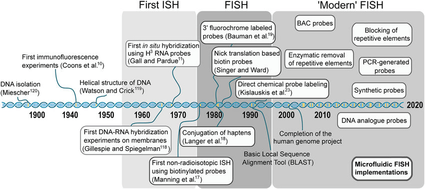 Timeline of fluorescence in situ hybridization developments.