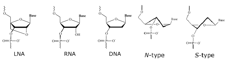 The structure of LNA, DNA and RNA and the different conformations of LNA.