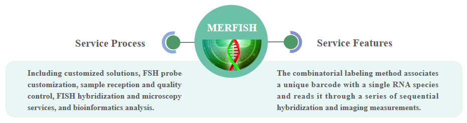 MERFISH Services. - Creative Bioarray