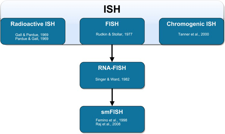 Schematic representation of the technical development of fluorescent in situ hybridization (FISH). (Young A P, et al. 2020)